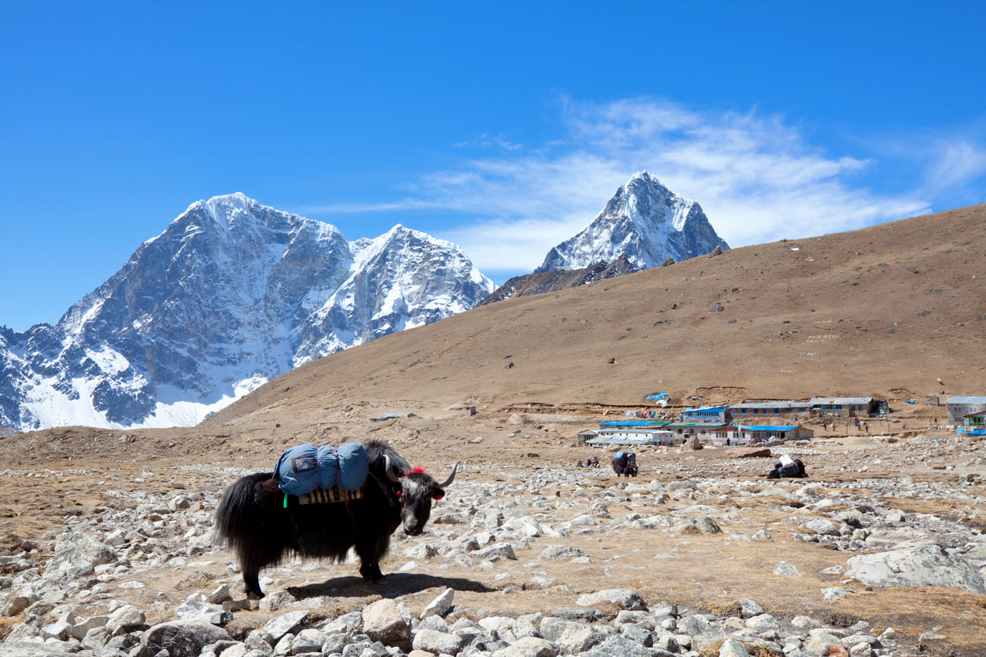 everest-three-pases-trek-3