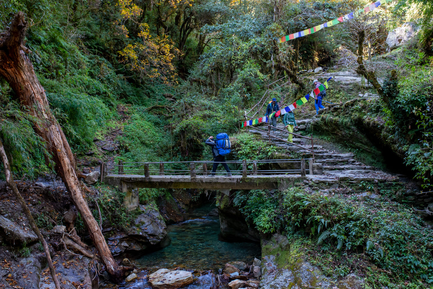 mansalu-circuit-trek-6
